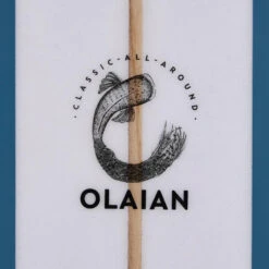 LONGBOARD 900 9' 67 L . Livré Avec 2 +1 Aileron Central De 8" . -Surf Fournitures Boutique longboard 900 9 67 l livre avec 2 1 aileron central de 8 5