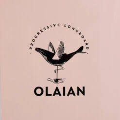 LONGBOARD 900 9'4" 74 L . Livré Avec 1 Aileron 10". -Surf Fournitures Boutique longboard 900 94 74 l livre avec 1 aileron 10 6